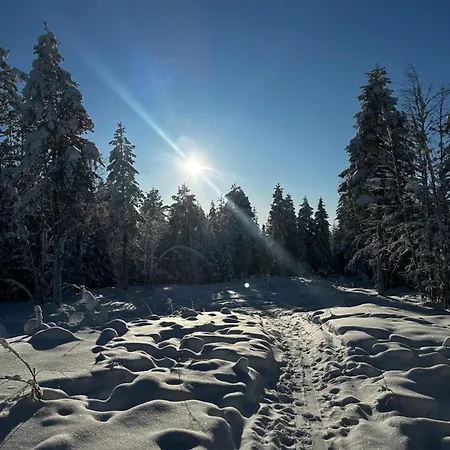 Santa Elves 山林小屋