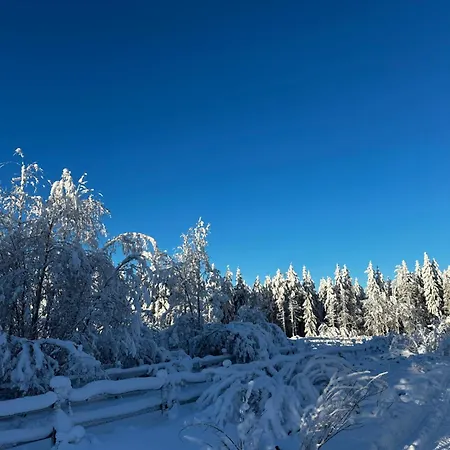 Santa Elves * Rovaniemi