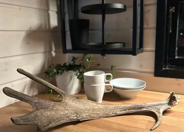 Santa Elves 山林小屋 *