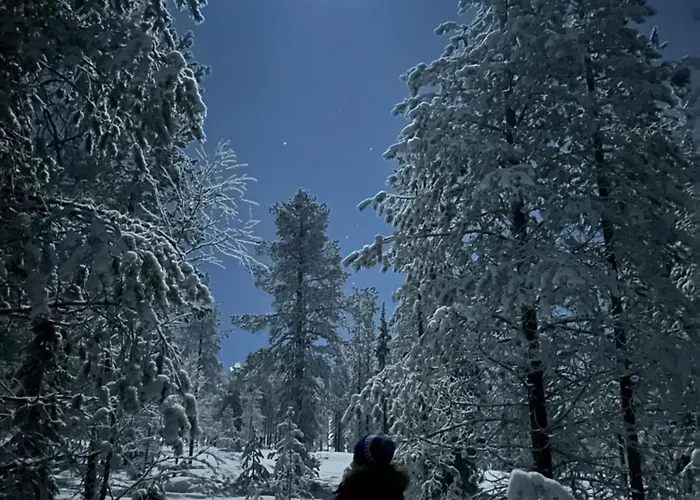 Lodge Santa Elves Rovaniemi