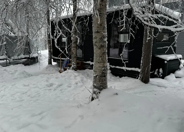 Santa Elves Rovaniemi