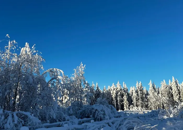 Santa Elves * Rovaniemi